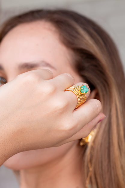 ANILLO LÍNEA DEL TIEMPO